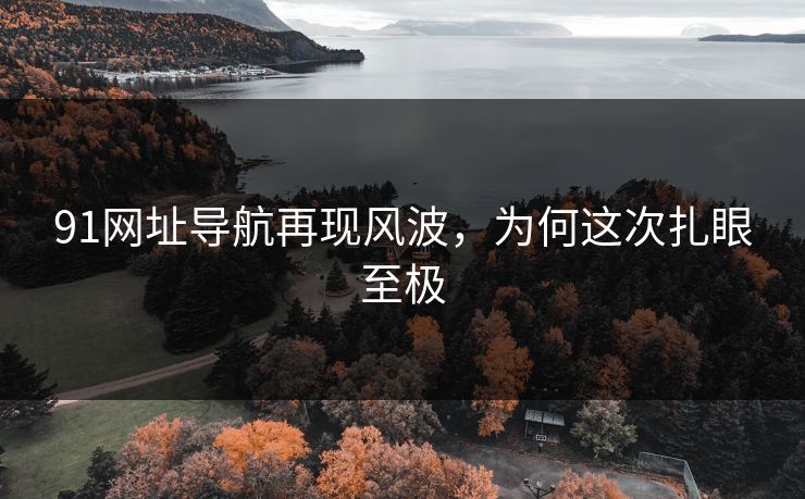 91网址导航再现风波，为何这次扎眼至极