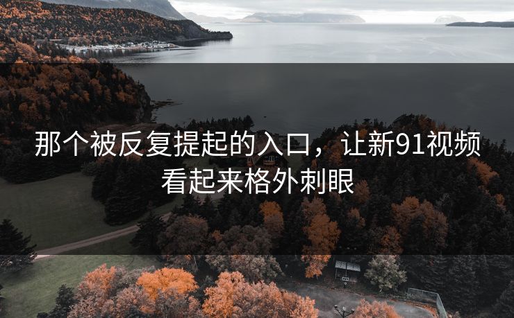 那个被反复提起的入口，让新91视频看起来格外刺眼