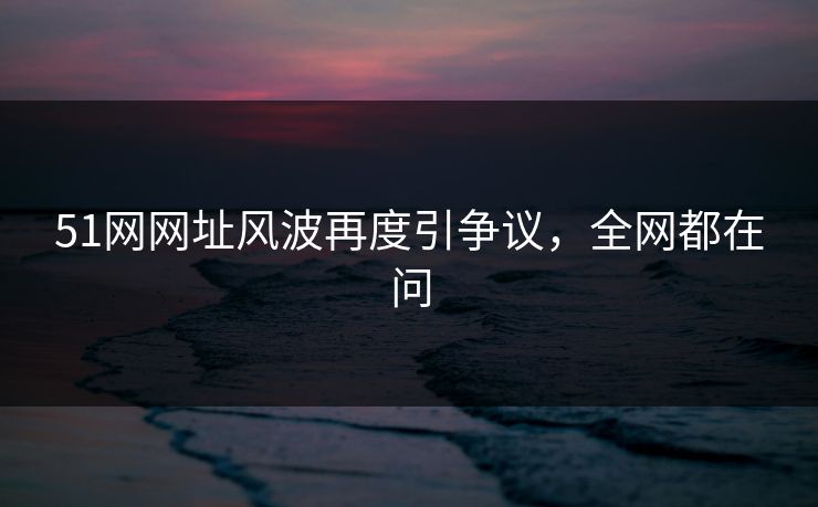 51网网址风波再度引争议，全网都在问