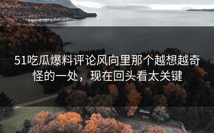 51吃瓜爆料评论风向里那个越想越奇怪的一处,现在回头看太关键 51吃瓜爆料评论风向里那个越想越奇怪的一处,现在回头看太关键