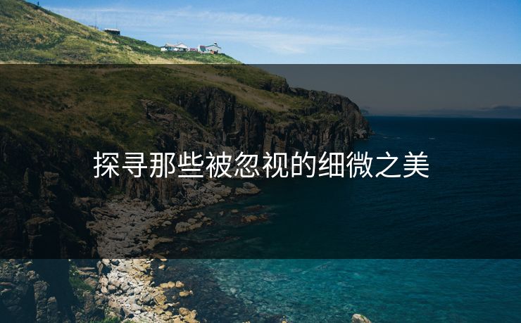 探寻那些被忽视的细微之美